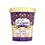 Toffee Fudgy Wudgy Ice Cream 